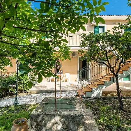 Anemona A Katelios