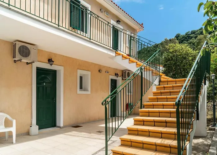 Anemona A *